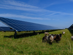 Le gouvernement crée un Observatoire national de ...