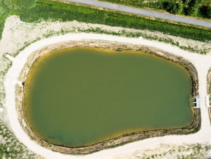 Le gouvernement valide le lancement de 13 projets ...