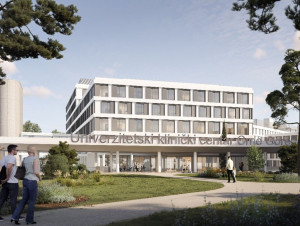 Bouygues va construire un centre hospitalier au ...