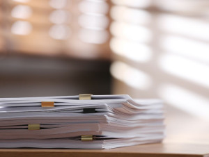 CEE, &eacute;lectrification : plusieurs textes clefs ...