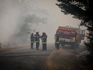 Incendies : le BTP se mobilise, des aides ...