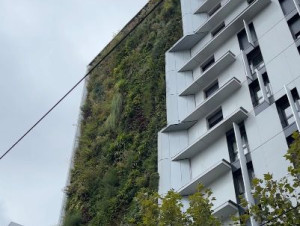 C'est dans l'actu : une fa&ccedil;ade v&eacute;g&eacute;tale ...