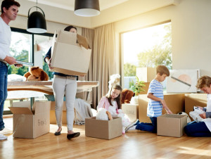 Logement : les d&eacute;put&eacute;s votent et &eacute;largissent le ...