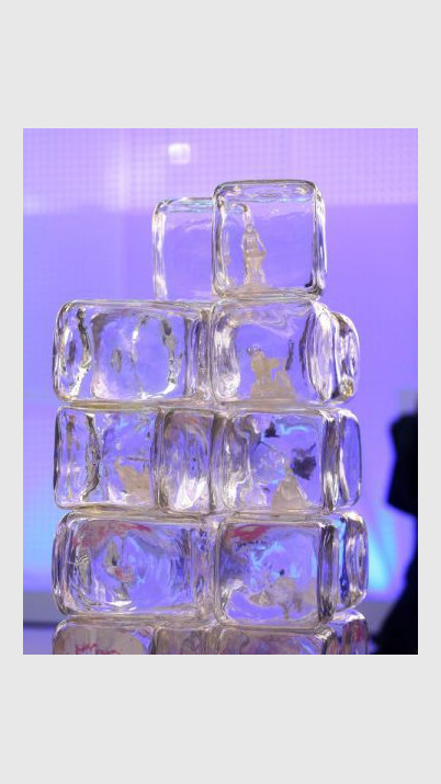 Projet Build(dingue)