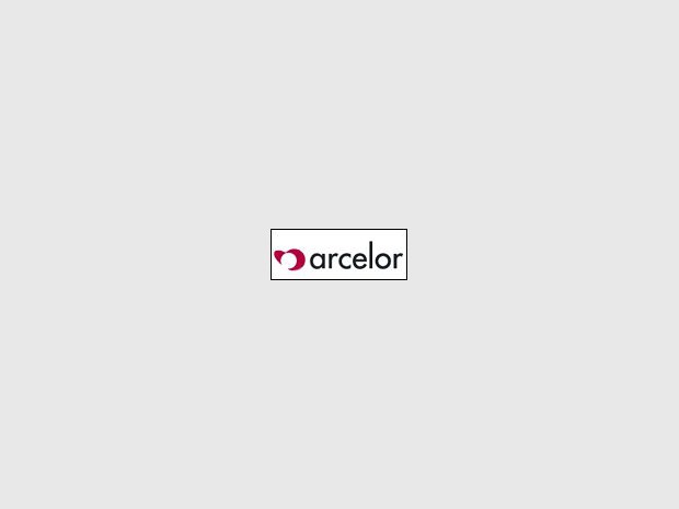 Le nouveau numéro un mondial de l'acier s'appellera Arcelor