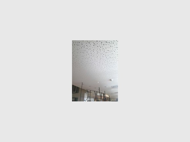 Un plafond acoustique tout en rondeur