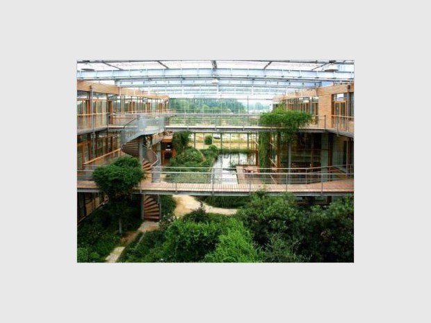 L'Institut Hollandais pour la recherche sur la Nature et la Forêt L'Institut Hollandais pour la recherche sur la Nature et la Forêt