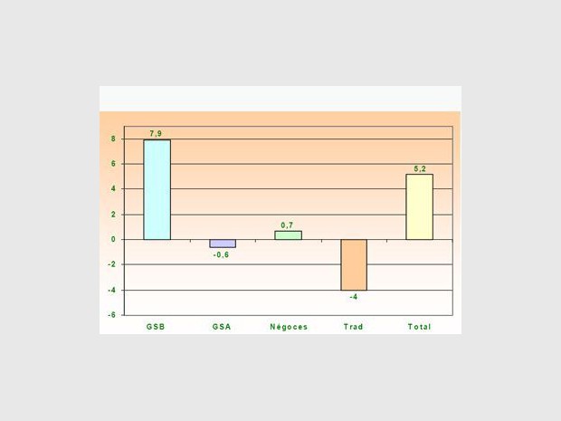 Evolution du marché du bricolage en 2006 par circuit (%)