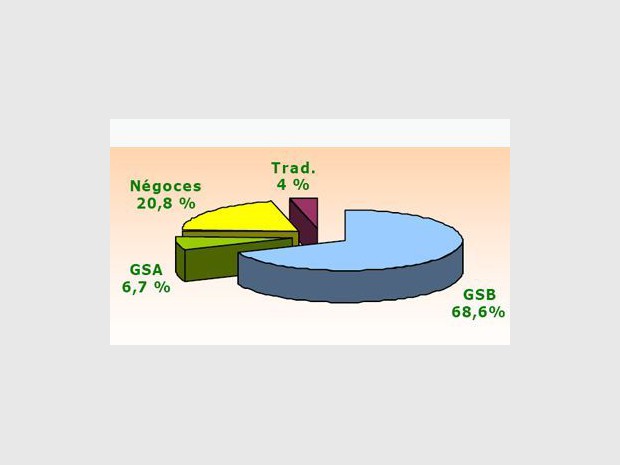 Répartition du marché du bricolage en 2006 par circuit (%)