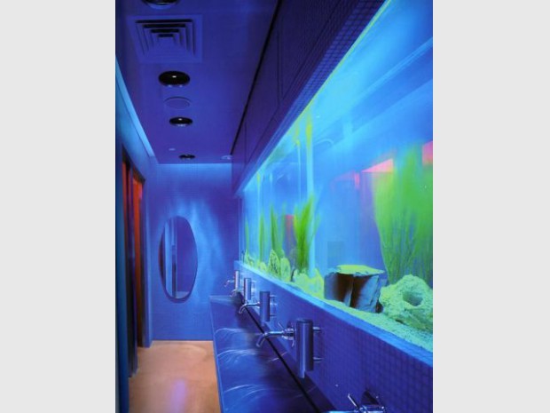 Un aquarium dans des toilettes publiques