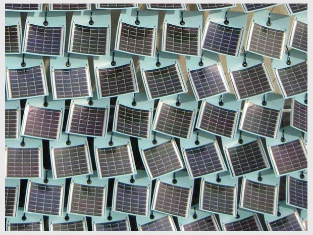 Grow de Smit lierre solaire Grow de Smit lierre solaire