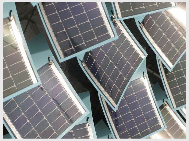 Grow de Smit lierre solaire Grow de Smit lierre solaire