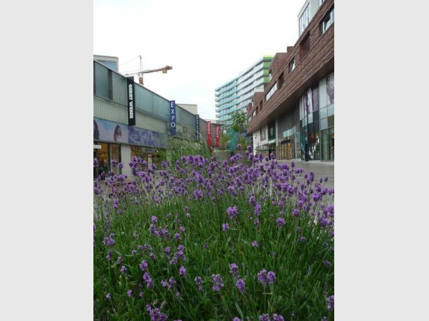 Almere Almere