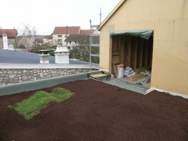 Toit terrasse végétalisé - étape par étape