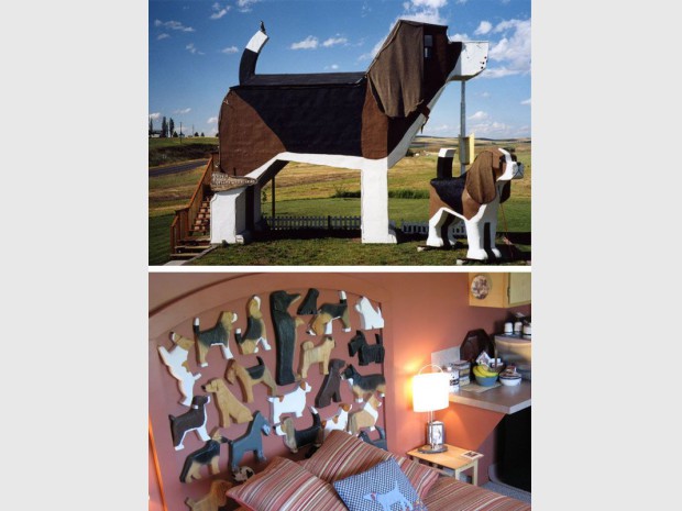 Hotel chien Hotel chien