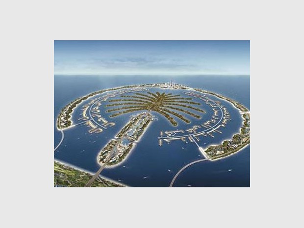 Nakheel palmier