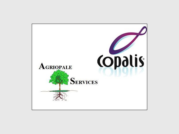 Logo copalis