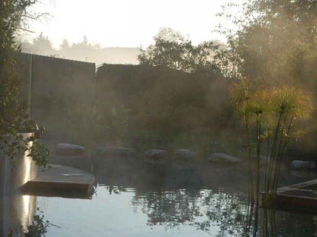 Piscine naturelle - l'Orangerie