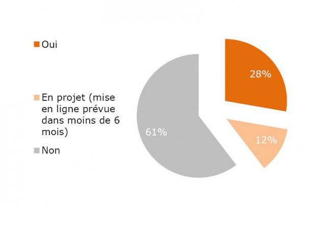 Possession d'un site Internet