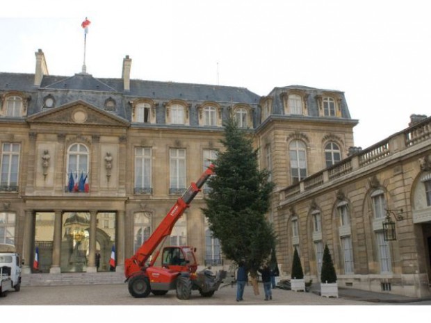 Sapin elysée