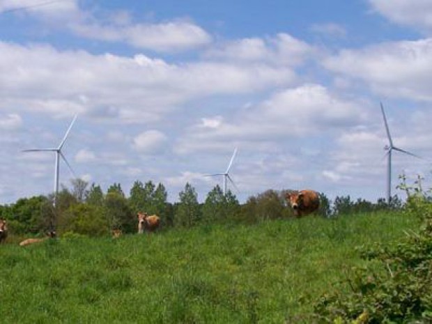 éoliennes