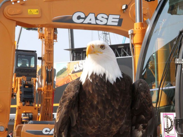 Case Bauma ok Case Bauma ok
