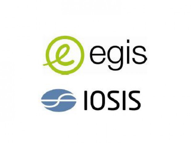 Siosis egis