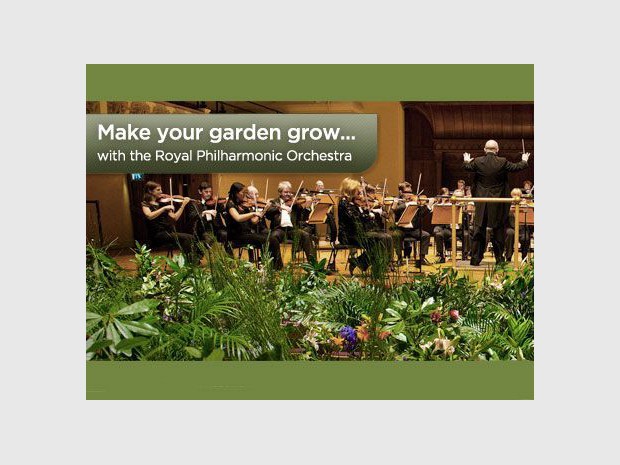 L'orchestre et les plantes