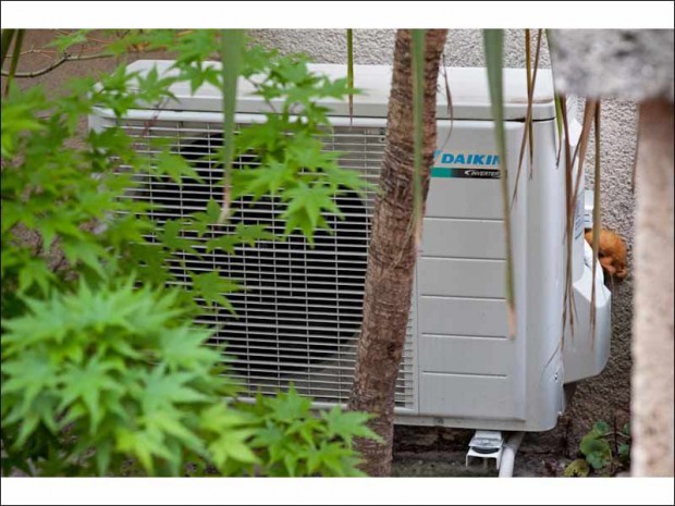 Daikin pigonnet