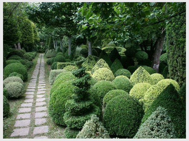 Jardin de l'année 2012