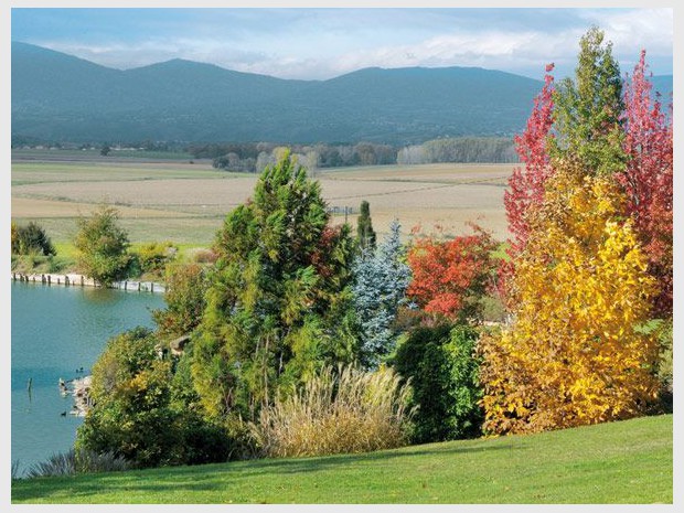 Jardin de l'année 2012