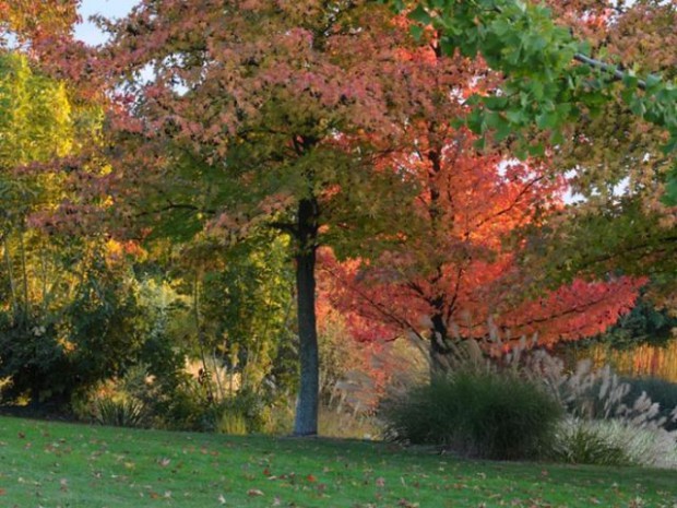 Jardin de l'année 2012