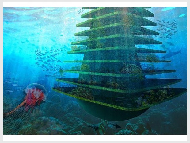 Sea Tree vue sous-marine