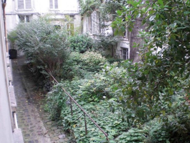 Jardin rue de Seine