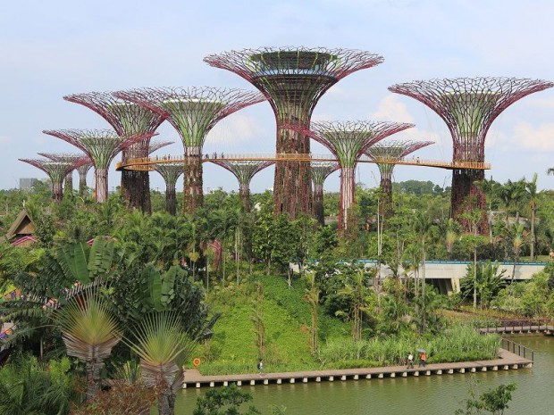 Singapour supertrees