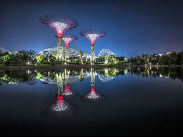 Gardens by the bay