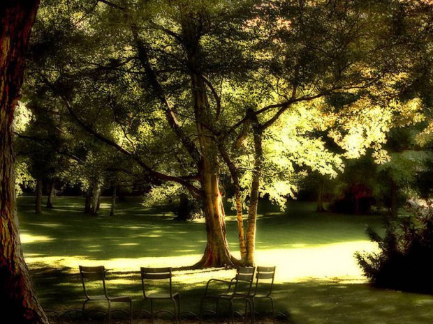 Jardin luxembourg