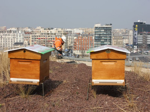 Beaugrenelle Paris et toiture végétalisée 