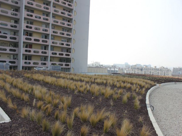 Beaugrenelle Paris et toiture végétalisée