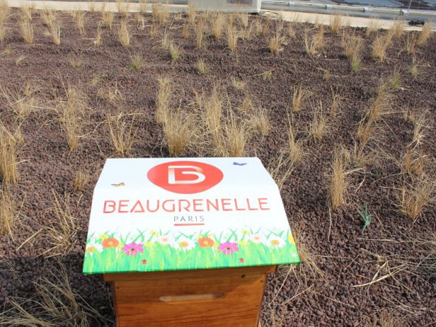 Beaugrenelle Paris et toiture végétalisée