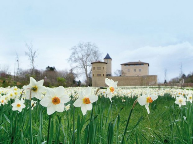 Château Saint Bernard 2 - jardin de l'année 2013