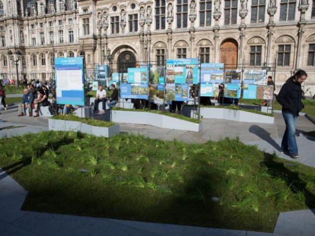 Jardin éphémère de l'hôtel de Ville