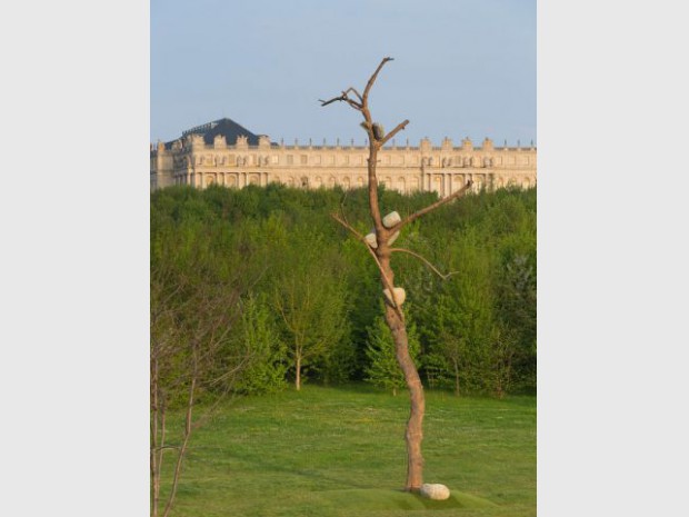 Exposition Penone Versailles jardin troncs