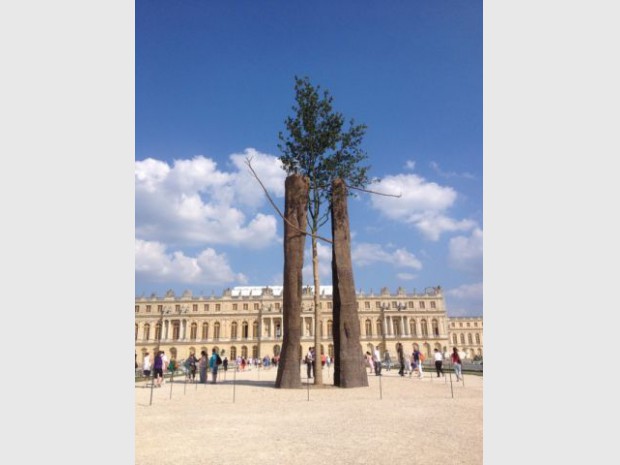 Exposition Penone à Versailles