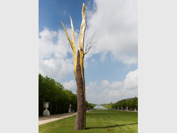 Exposition Penone Versailles jardin troncs 