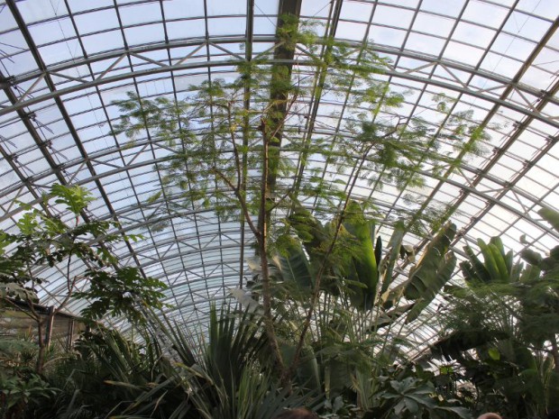 Serre tropicale au zoo de Vincennes