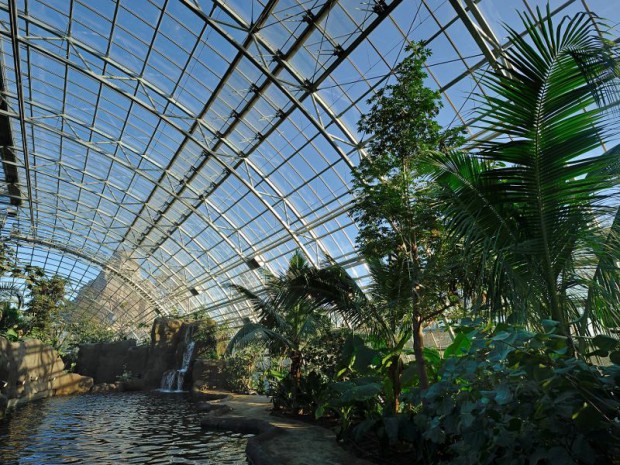 Serre tropicale au zoo de Vincennes