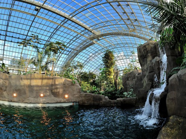 Serre tropicale au zoo de Vincennes