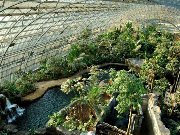 Serre tropicale au zoo de Vincennes