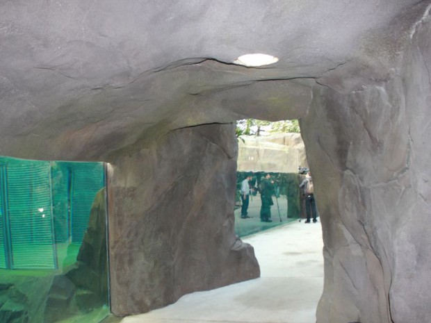 Serre tropicale au zoo de Vincennes